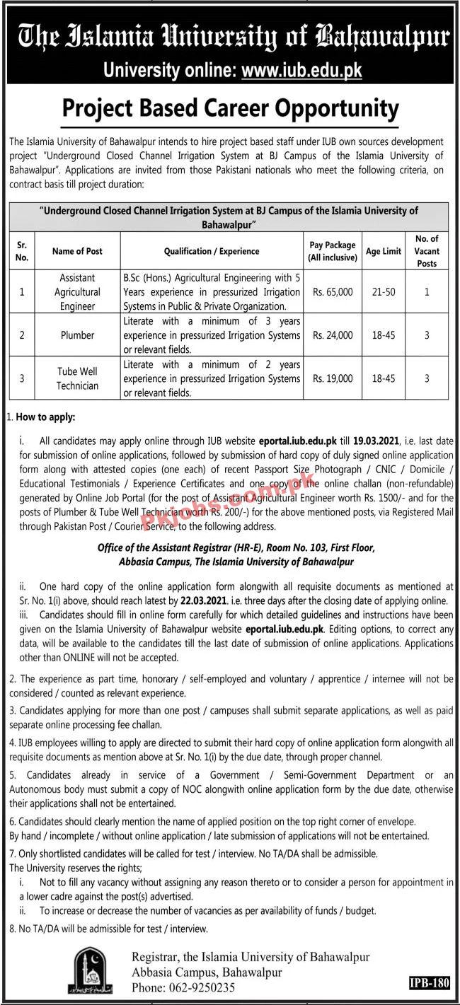 Jobs in The Islamia University of Bahawalpur