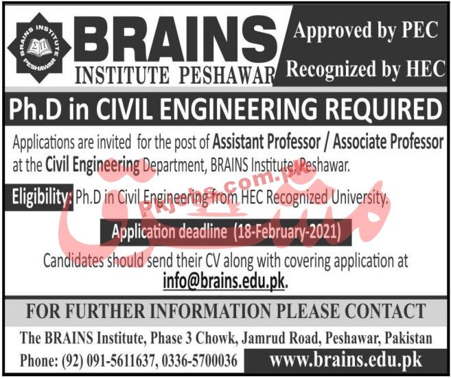 Jobs in BRAINS Institute Peshawar