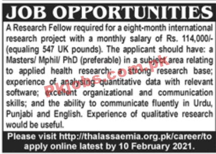 Jobs in International Research Project