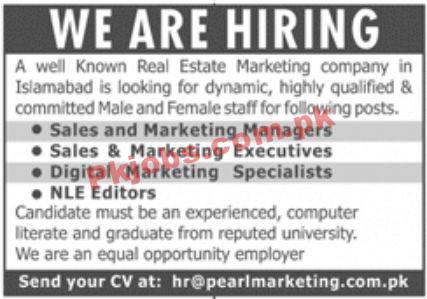Jobs in Real Estate Marketing Company