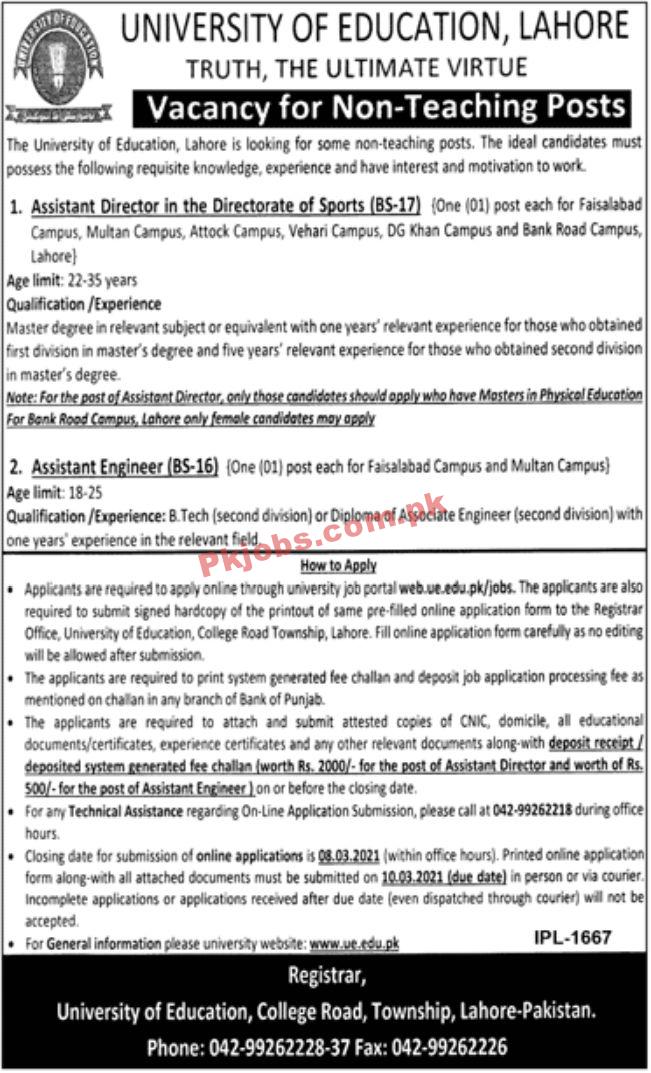 Jobs in University of Education Lahore