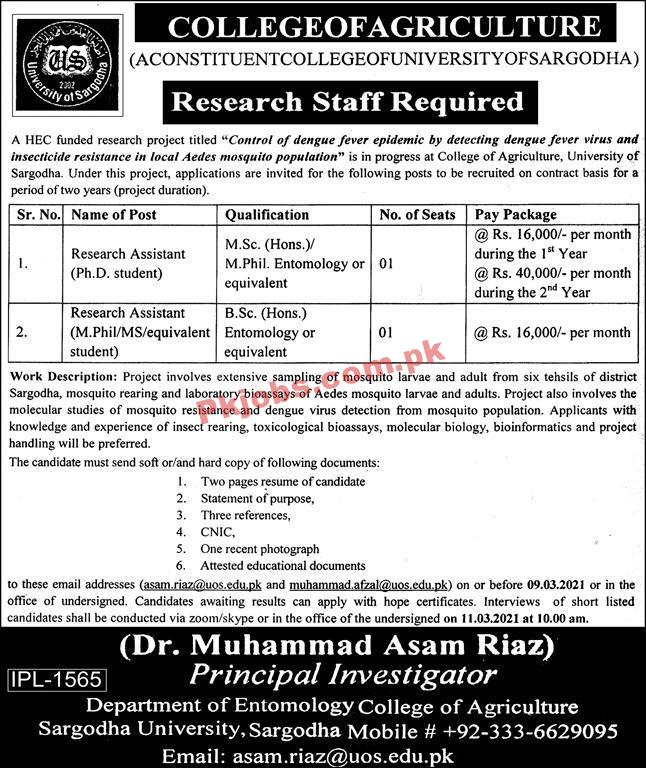 Jobs in University of Sargodha