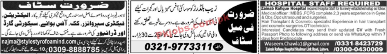 Jobs in Jang Newspaper Jobs 28 February