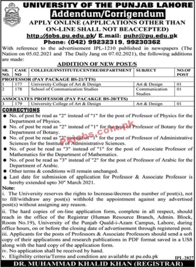 Jobs in University of the Punjab Lahore