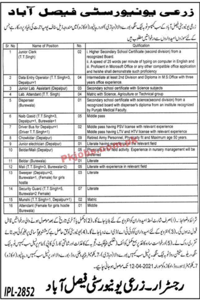 Jobs in Agriculture University Faisalabad