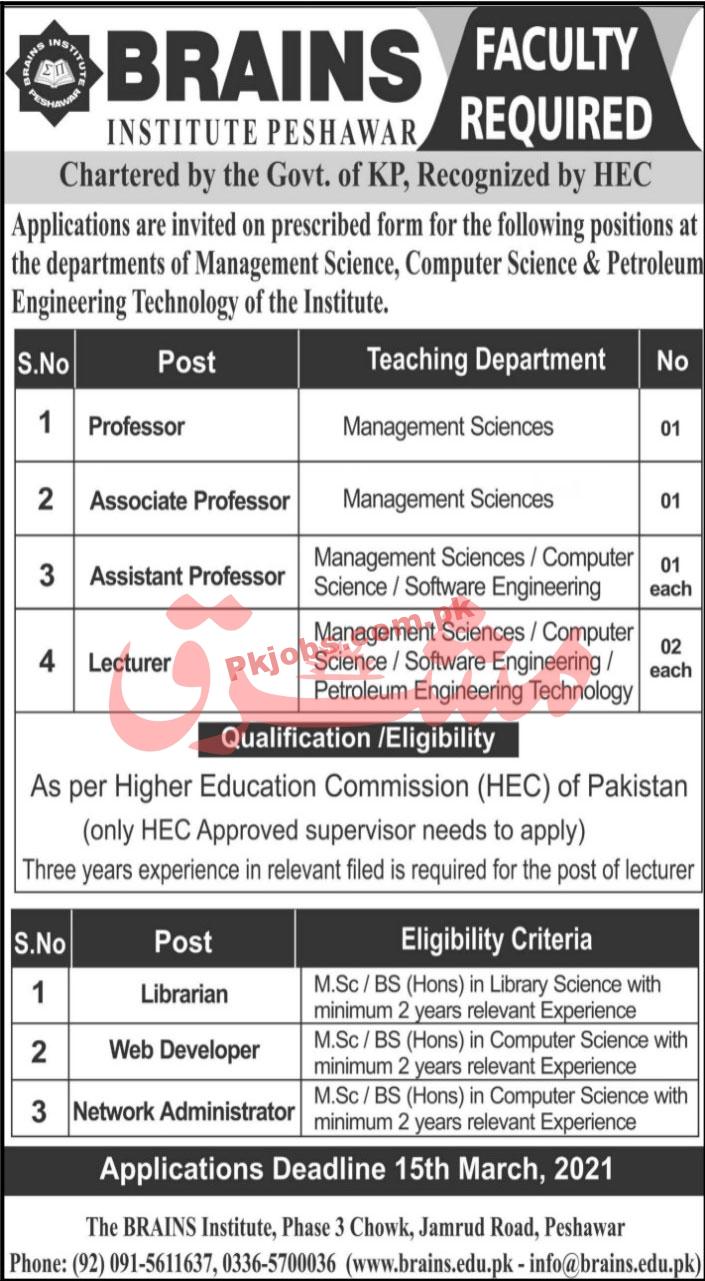 Jobs in Brains Institute Peshawar