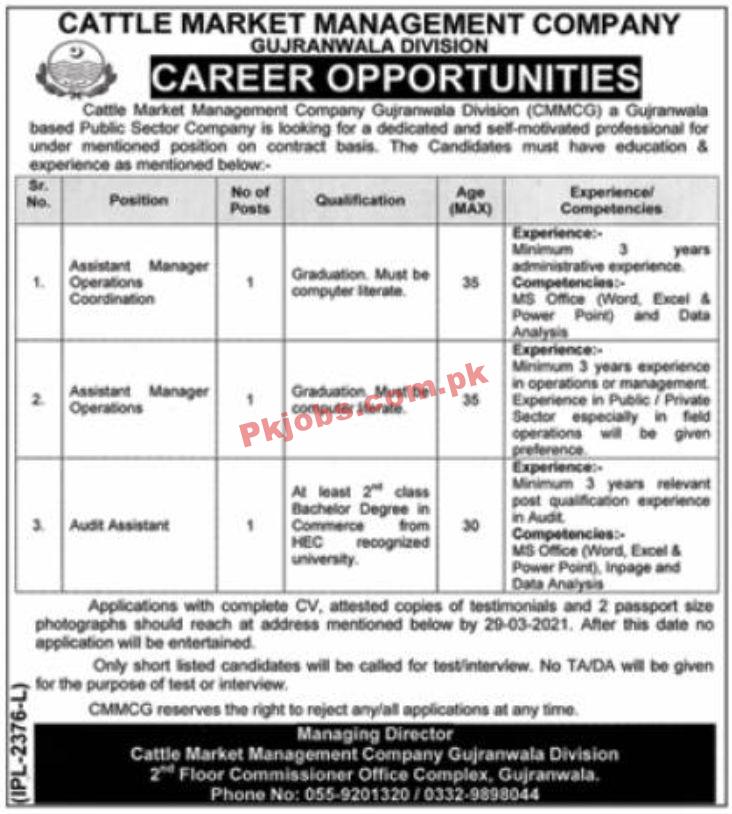 Jobs in Cattle Market Management Company