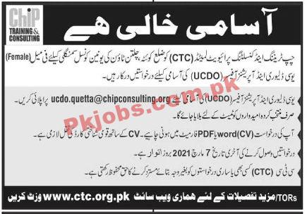 Jobs in Chip Training & Consulting CTC