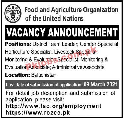 Jobs in Food and Agriculture Organization of the United Nations