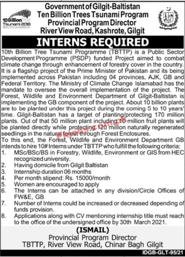 Jobs in Government of Gilgit Baltistan Ten Billion Trees Tsunami Program