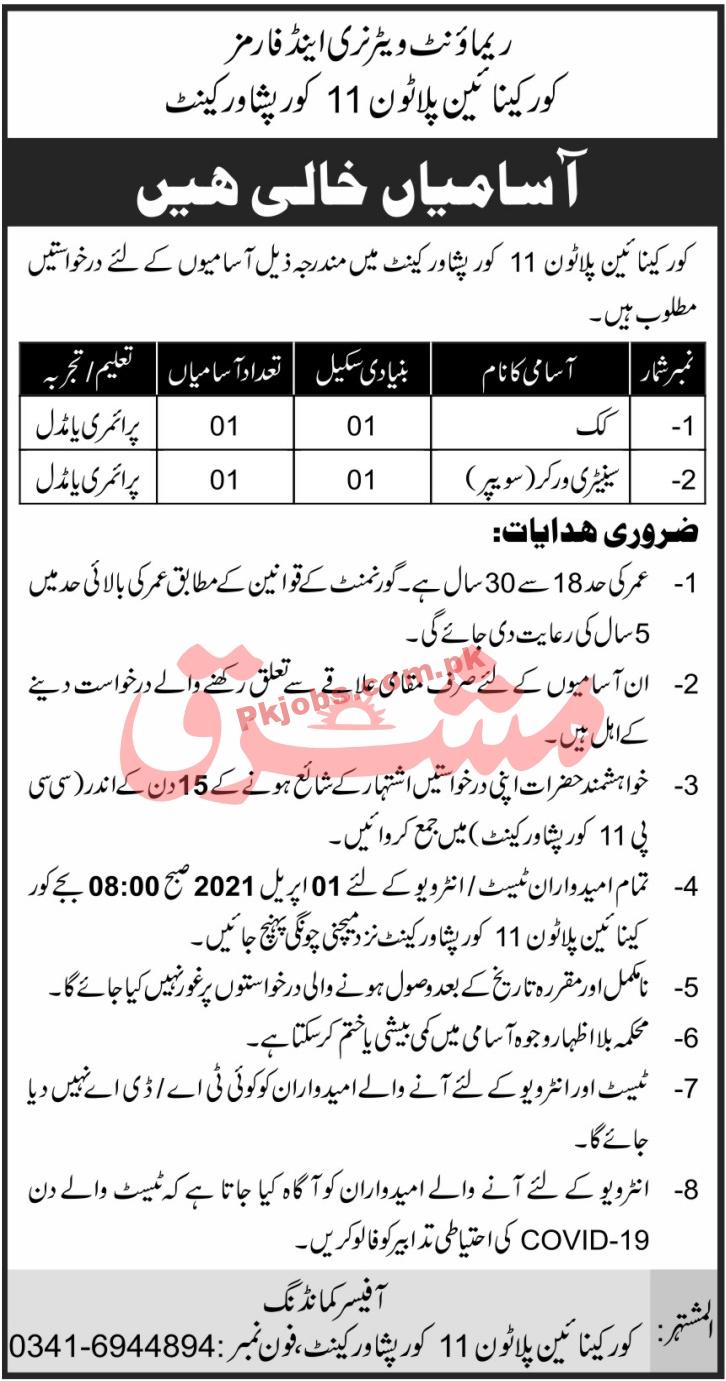 Jobs in Government of KPK
