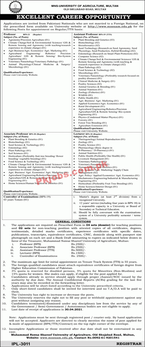 Jobs in MNS University of Agriculture Multan