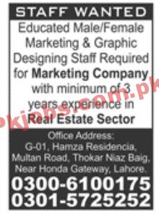 Jobs in Marketing Company