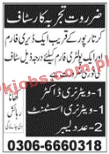 Jobs in Poultry Farm