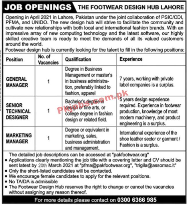 Jobs in The Footwear Design Hub Lahore