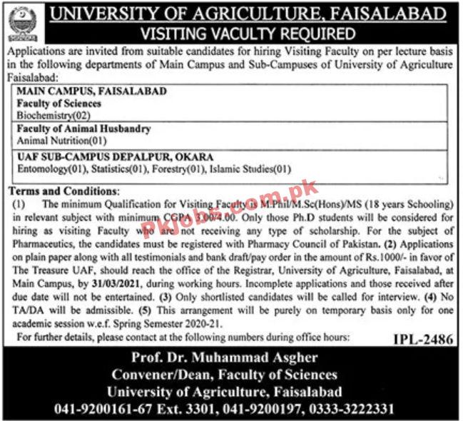 Jobs in University of Agriculture Faisalabad