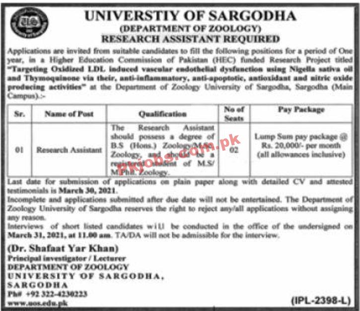 Jobs in University of Sargodha SU