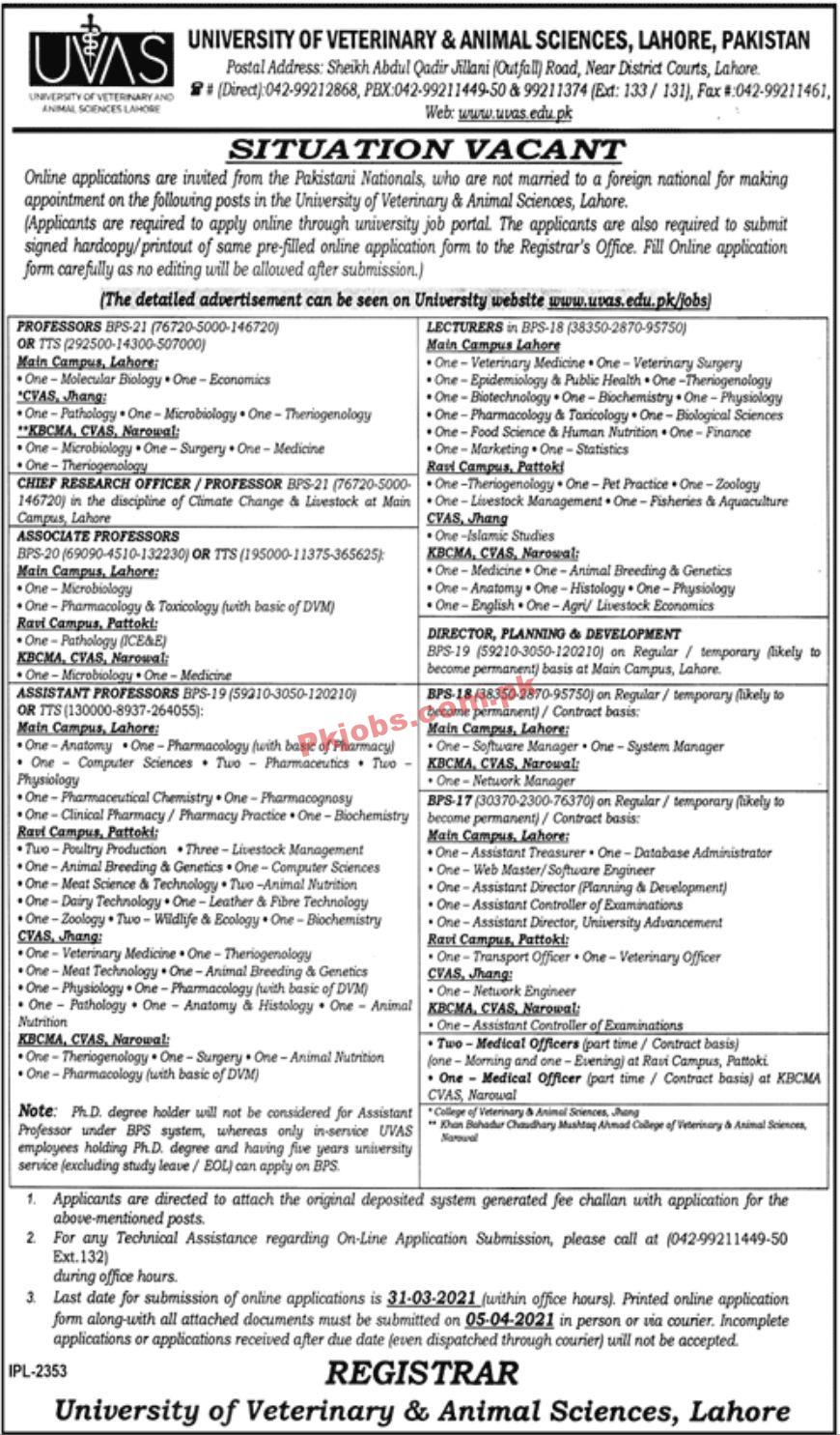 Jobs in University of Veterinary & Animal Sciences UVAS Lahore