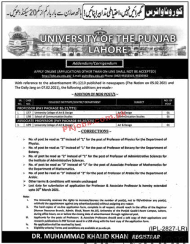 Jobs in University of the Punjab Lahore