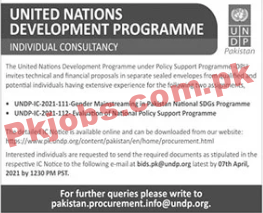 United Nations Development Programme (UNDP) Management PK Jobs 2021