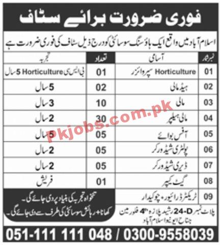 Jobs in Housing Society Islamabad