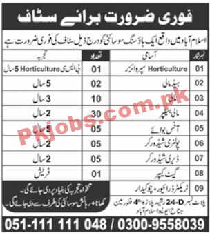 All Private Jobs Advertisements 26/04/2021 (Monday)