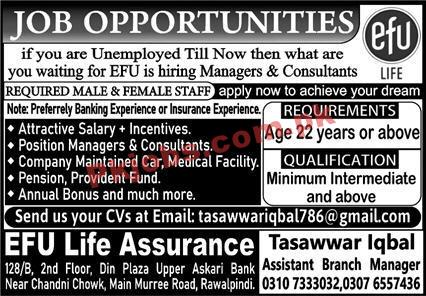 Efu Life Assurance Limited Management PK Jobs 2021