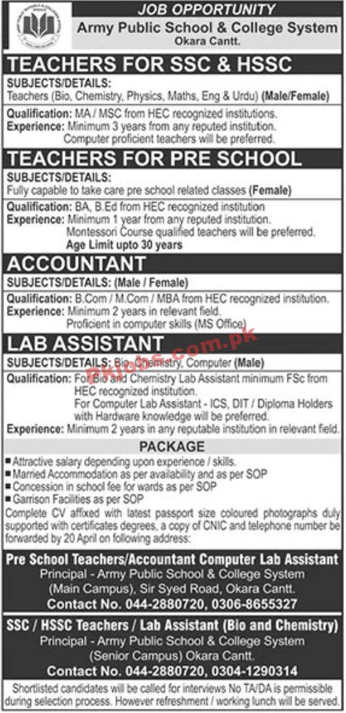 Jobs in Army Public School & College System Okara