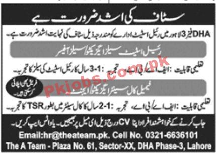 Jobs in Real Estate Department Lahore