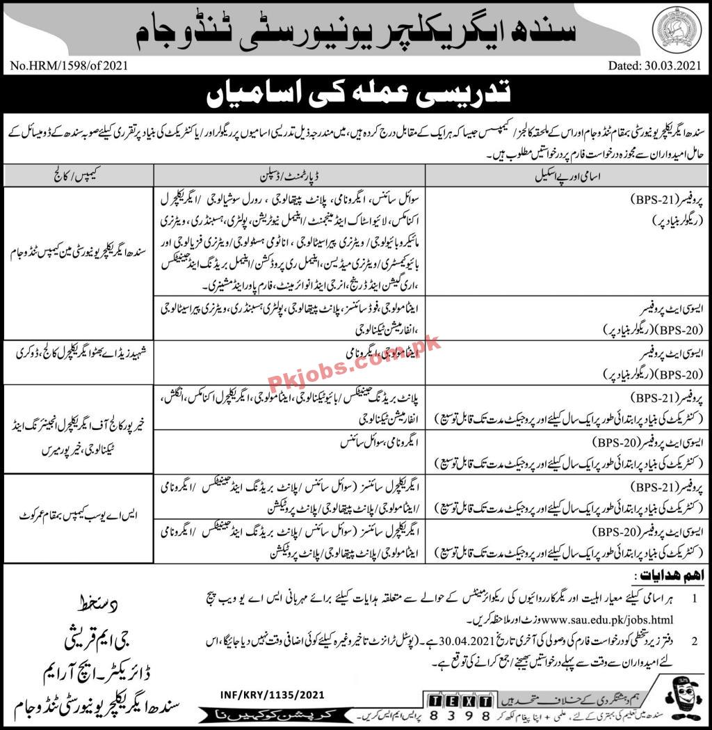 Jobs in Sindh Agriculture University