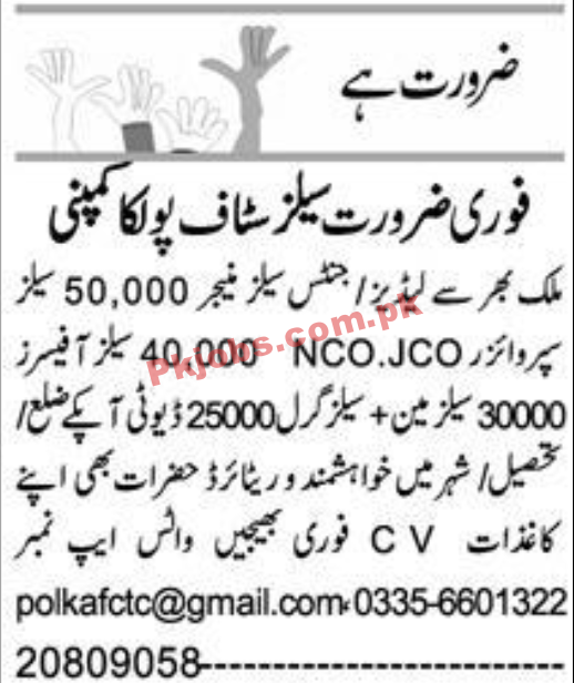 Polka Company Management & Sales PK Jobs 2021