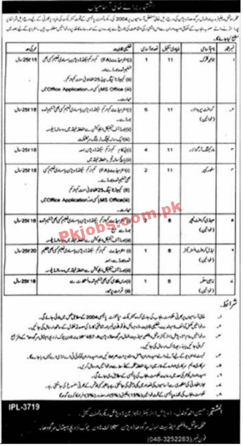 Social Welfare & Bait ul Maal Department PK Jobs 2021