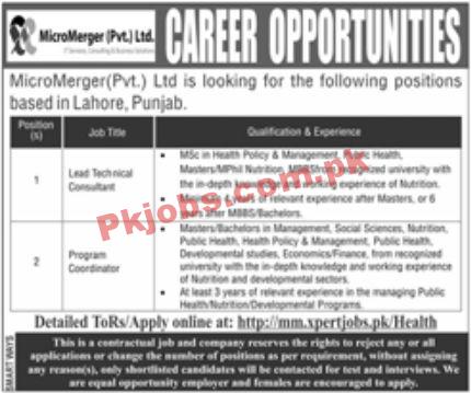 Jobs in MicroMerger Pvt Ltd