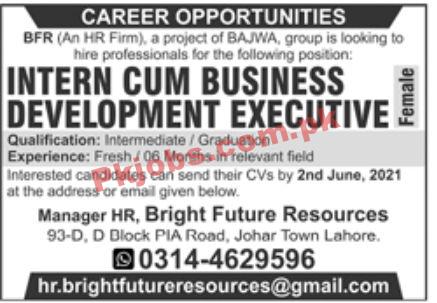 Jobs in BFR Bright Future Resources