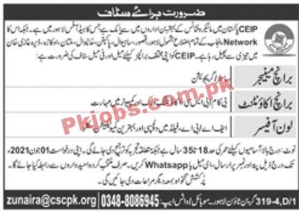 Jobs in CEP Pakistan