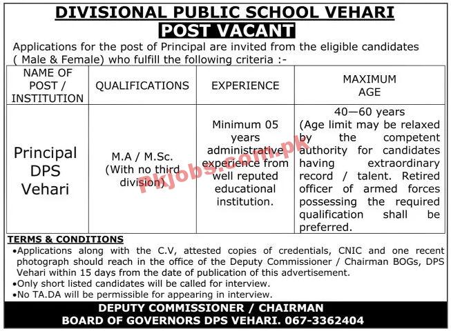 Jobs in Divisional Public School Vehari