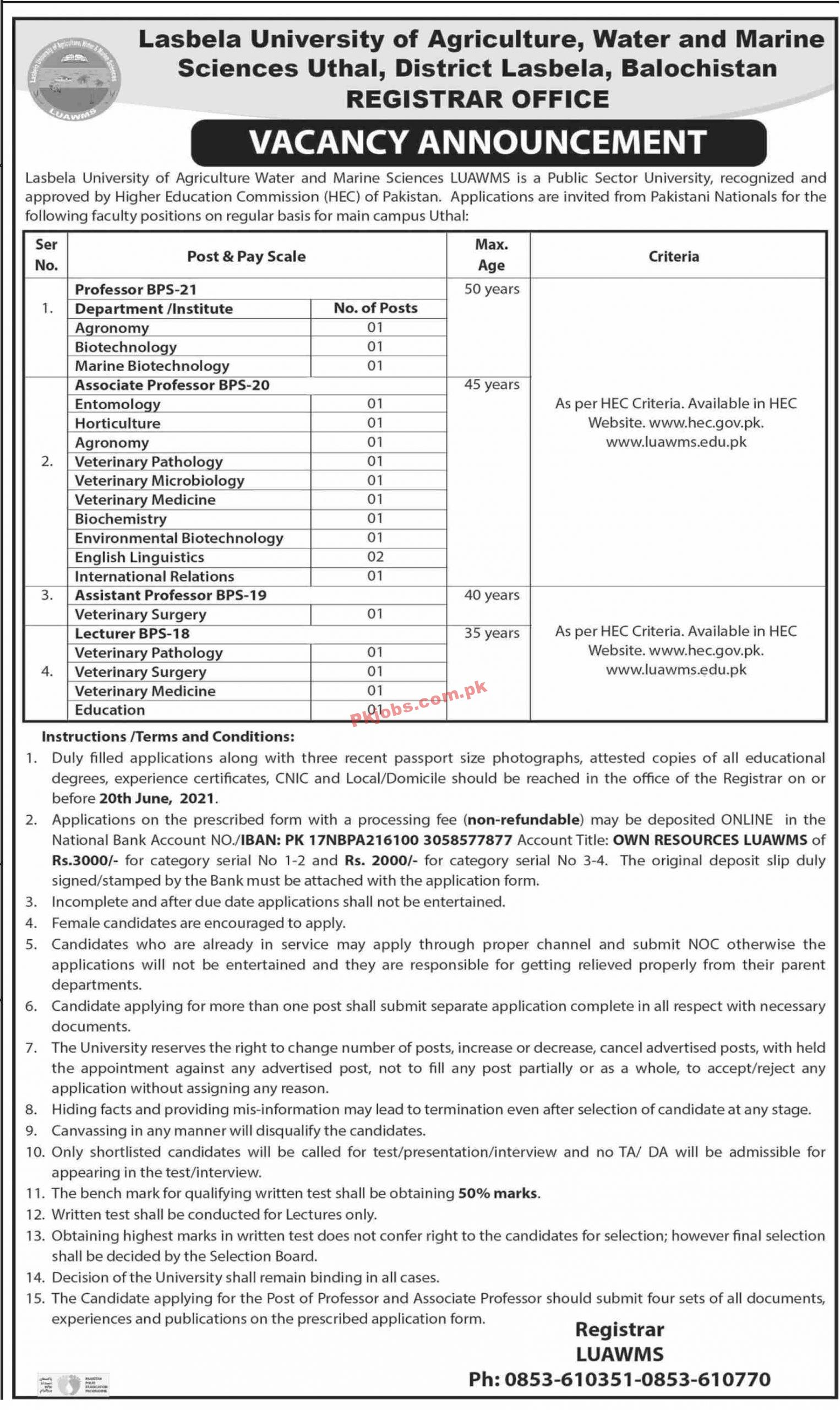 Jobs in Lasbela University