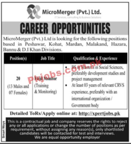 Jobs in MicroMerger Pvt Ltd