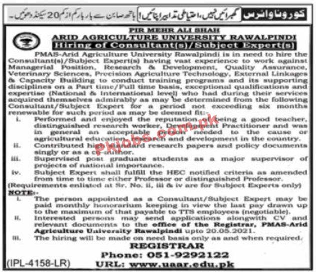 Jobs in PIR Mehr Ali Shah ARID Agriculture University Rawalpindi