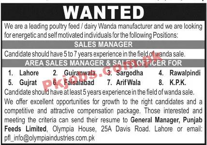 Jobs in Punjab Feeds Limited