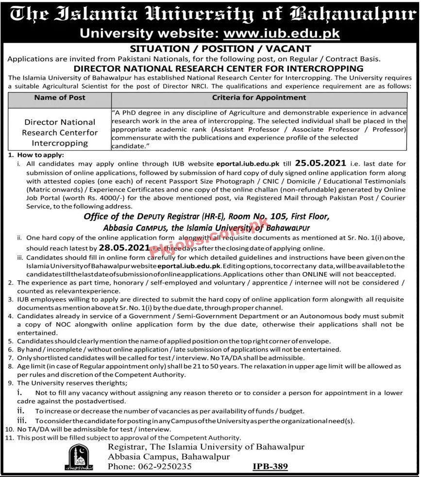 Jobs in The Islamia University of Bahawalpur