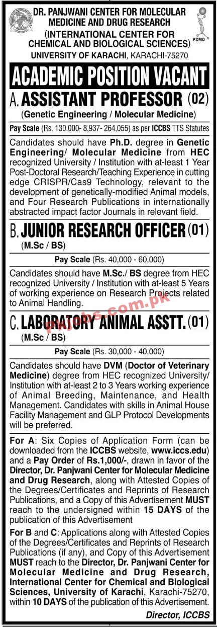 Jobs in University of Karachi UOK