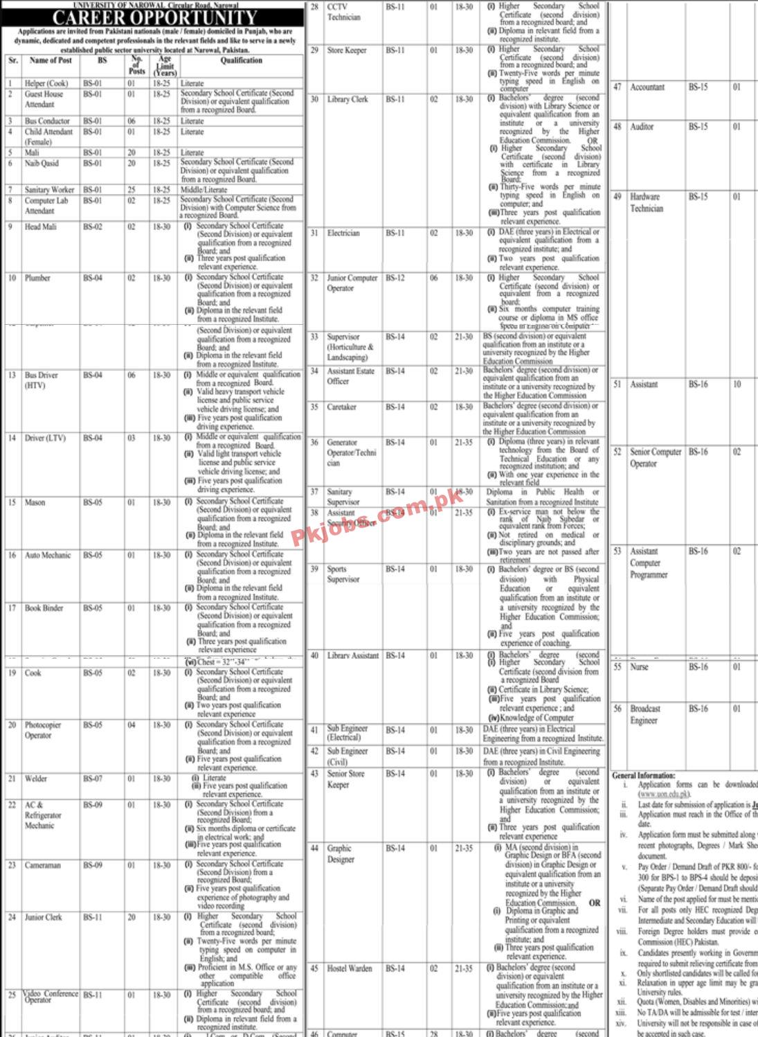 Jobs in University of Narowal