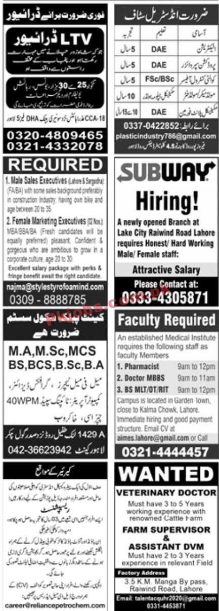 Jobs in Jang Newspaper Jobs Jobs 06 June