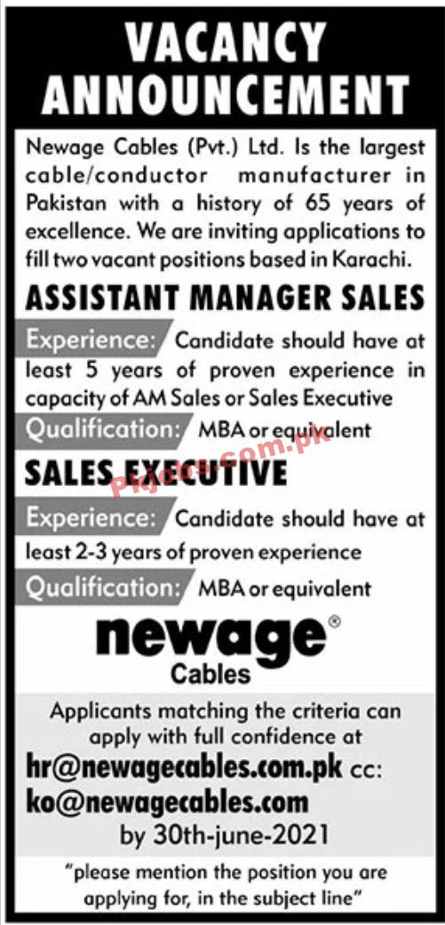 Jobs in Newage Cables Pvt Ltd