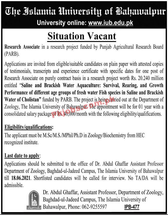 Jobs in The Islamia University of Bahawalpur IUB