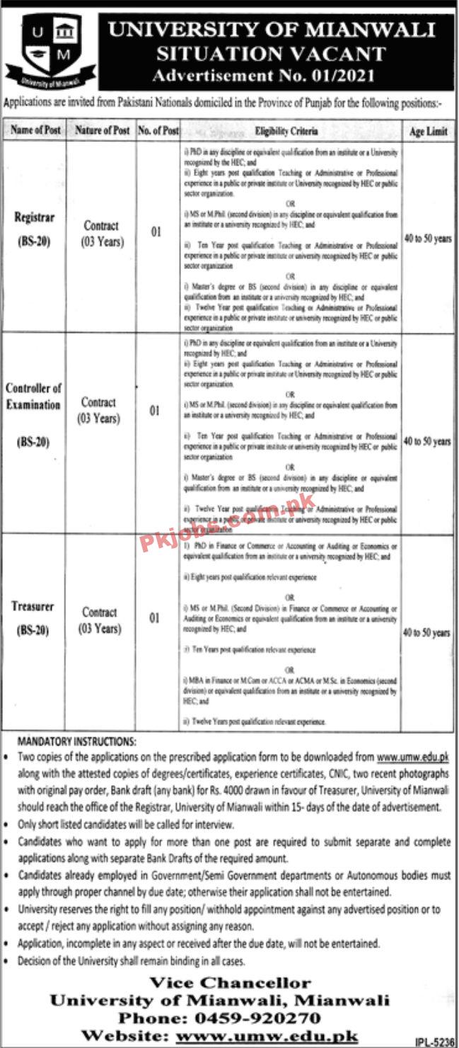 Jobs in University of Mianwali