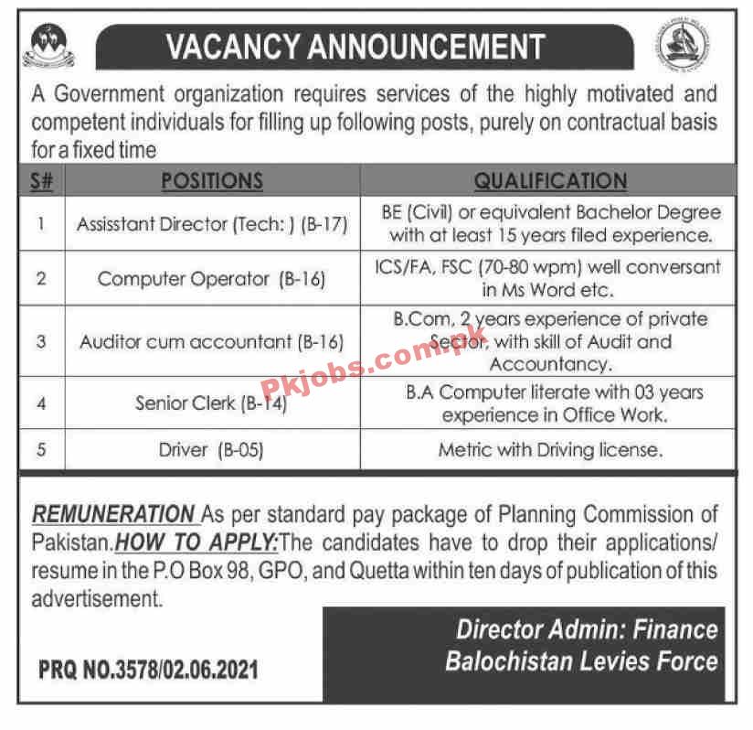 Levies Force Announced Management PK Jobs 2021