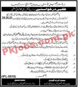 Tehsil Council Office Announced Latest PK Jobs 2021