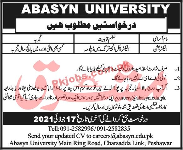 Jobs in ABASYN University